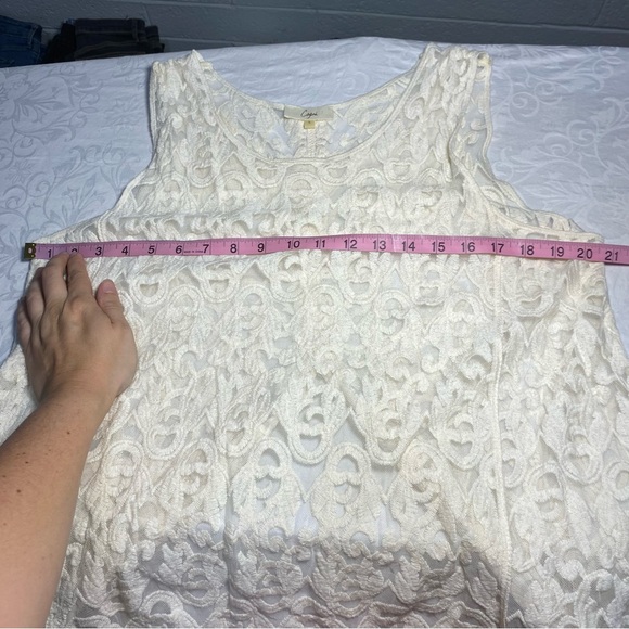 Capri Sioni Embroidered Mesh Tank L with Slit Halfway Up the Back Beige Large - Picture 10 of 13